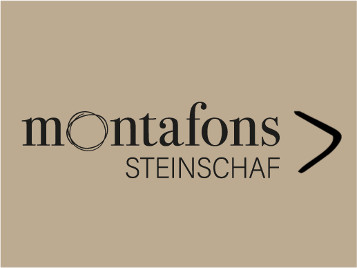 link steinschaf2