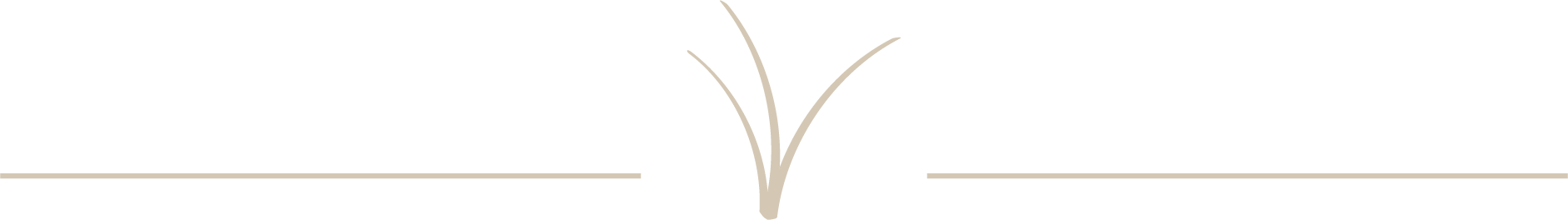 trennlinie text